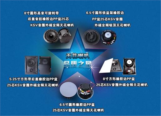 天花喇叭揚(yáng)聲器產(chǎn)品分類 天花喇叭揚(yáng)聲器產(chǎn)品分類
