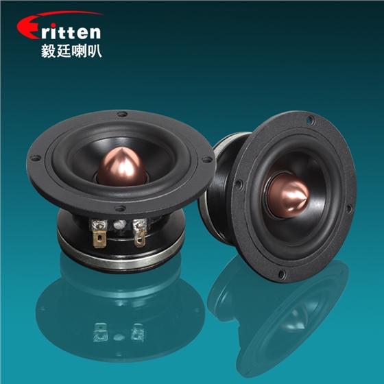 毅廷揚(yáng)聲器廠家 毅廷揚(yáng)聲器廠家