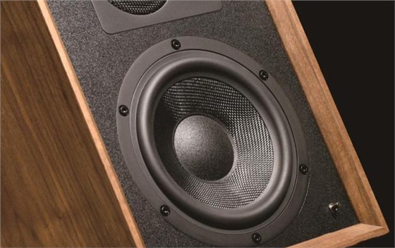 音箱揚(yáng)聲器單元 音箱揚(yáng)聲器單元