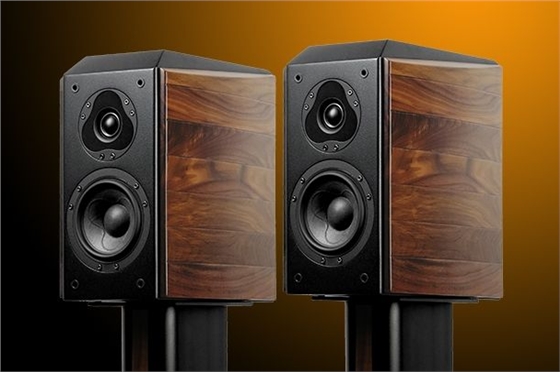 家庭音響喇叭 家庭音響喇叭