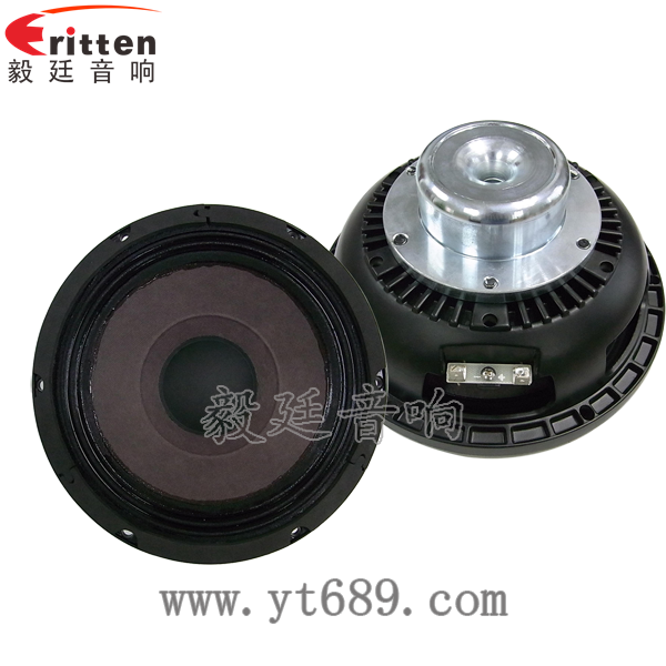 8''中低音舞臺(tái)音箱喇叭廠家正反面 8''中低音舞臺(tái)音箱喇叭廠家正反面