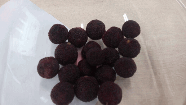 毅廷喇叭廠勇敢邁出第一步就是我們最大勝得 —牛商爭霸死黨互動學(xué)習(xí)共成長 毅廷喇叭廠勇敢邁出第一步就是我們最大勝得 —牛商爭霸死黨互動學(xué)習(xí)共成長