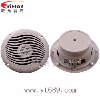 “納尼”毅廷完美喇叭功放??！