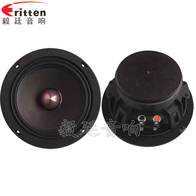 8''中低音舞臺(tái)音箱喇叭廠家正反面