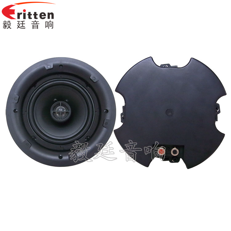 8''250w 重低音喇叭正反面