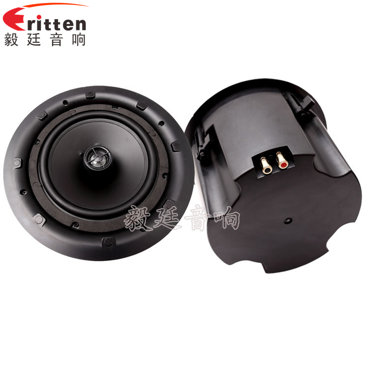 8寸圓筒天花吸頂式喇叭正反面 8''250w 重低音喇叭正反面