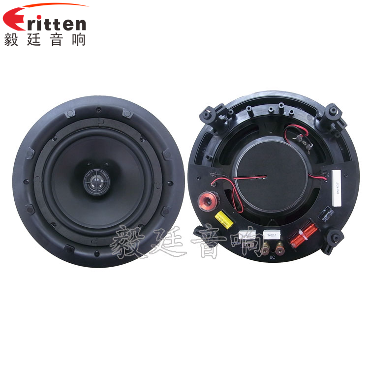 8寸天花吸頂式喇叭正反面 8''250w 重低音喇叭正反面
