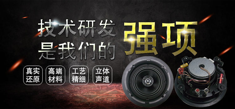 5.25寸天花揚聲 5.25寸天花揚聲