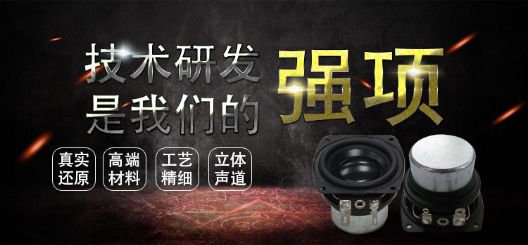 2.25寸(56*57)全頻HIFI音箱喇叭 2.25寸(56*57)全頻HIFI音箱喇叭
