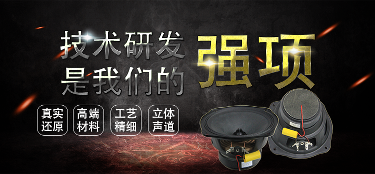 6寸(159mm)兩路汽車音響喇叭 6寸(159mm)兩路汽車音響喇叭