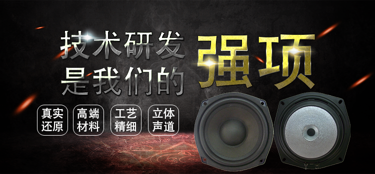 5.25寸異形鐵氧體外磁 電動(dòng)式（動(dòng)圈式）紙盆/泡沫環(huán)繞40W多媒體喇叭