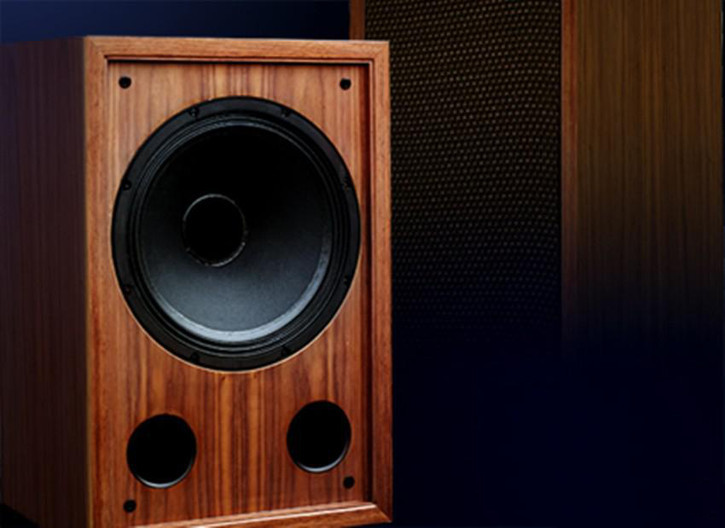 毅廷揚聲器批發(fā)商