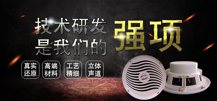 6.5寸PP盆/橡膠邊稀土高強(qiáng)磁25.5芯60W全頻船用音箱喇叭