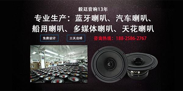 揚(yáng)聲器工廠 揚(yáng)聲器工廠